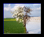 FW01R1200.jpg